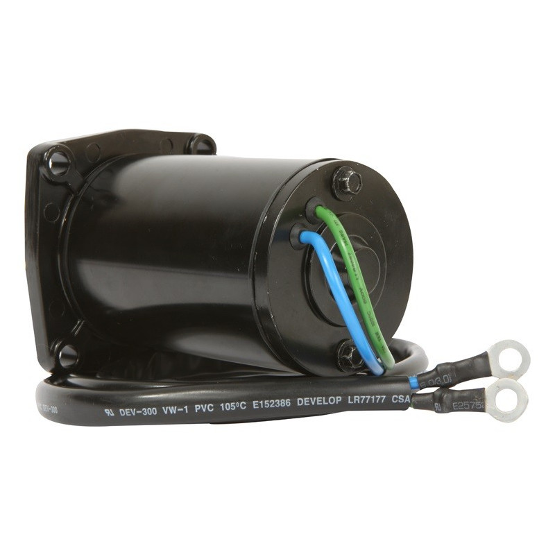 Moteur de Trim Suzuki DF40, DF50 (99-00)