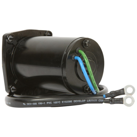 Moteur de Trim Suzuki DF40, DF50 (99-00)
