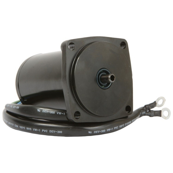 Moteur de Trim Suzuki DF40, DF50 (99-00)