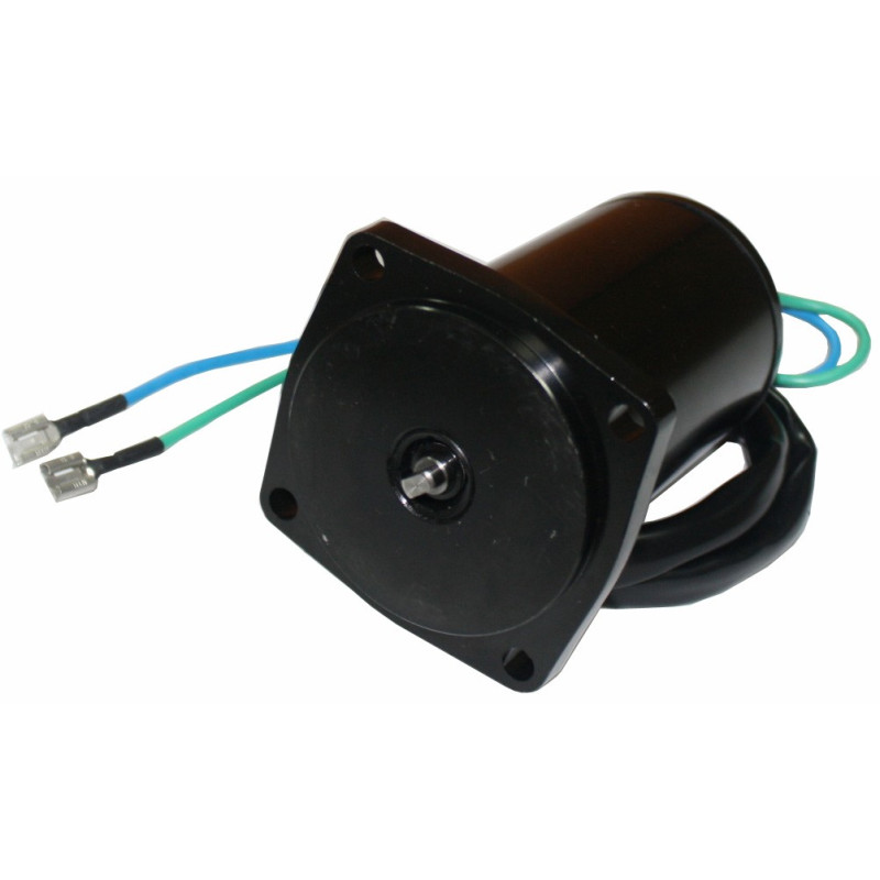 Moteur de Trim Suzuki DF40, DF50 (01-09)
