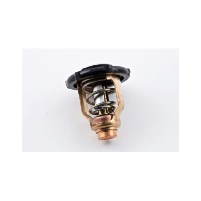 THERMOSTAT YAMAHA F115, 6EK-12411-00