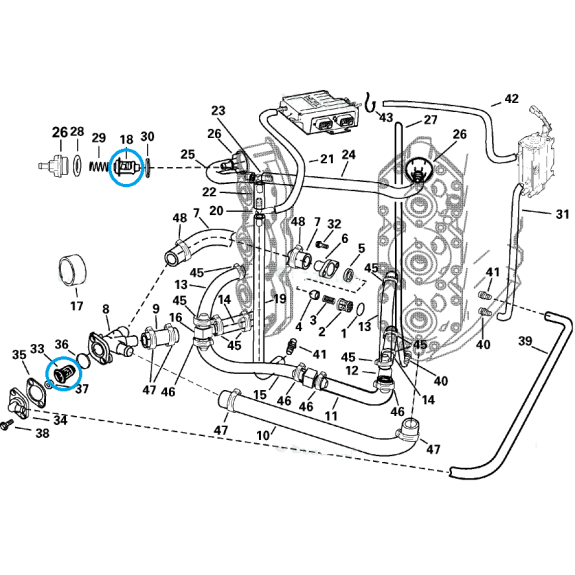 Schéma thermostat Johnson Evinrude  E115, 135, 150, 175cv, 437090