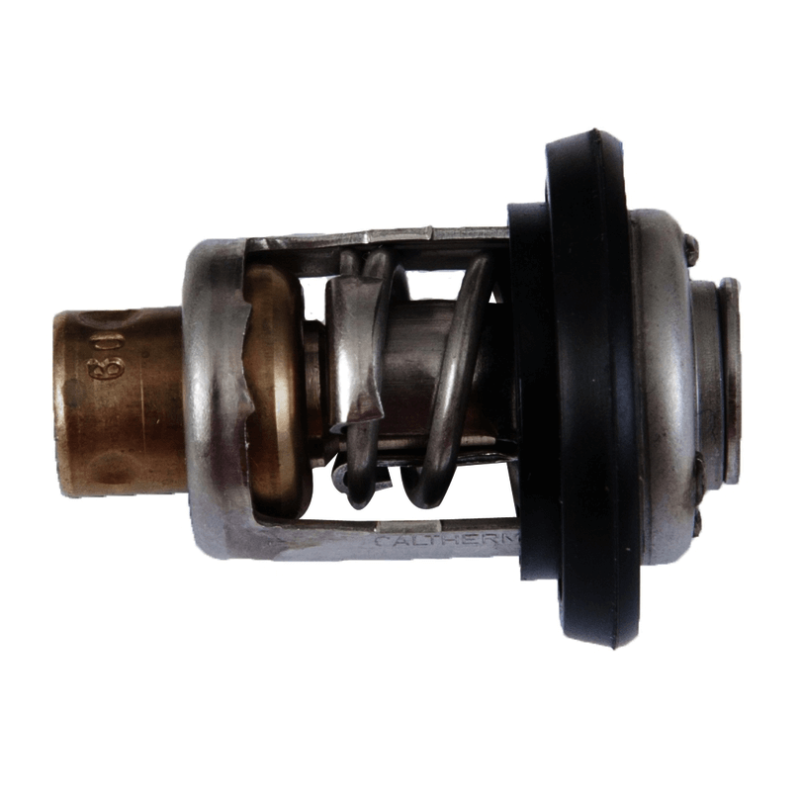 Thermostat hors-bord Honda, 19300-zv5