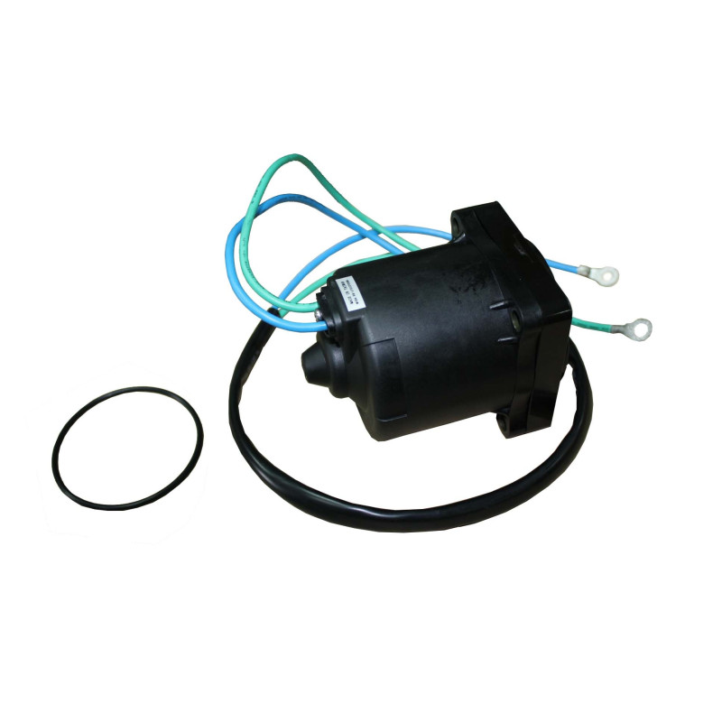 Moteur de Trim Suzuki DF40 à DF300, Version Economique