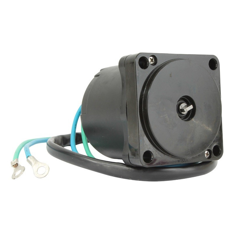 Moteur de Trim Suzuki DF40 à DF300, Version Economique