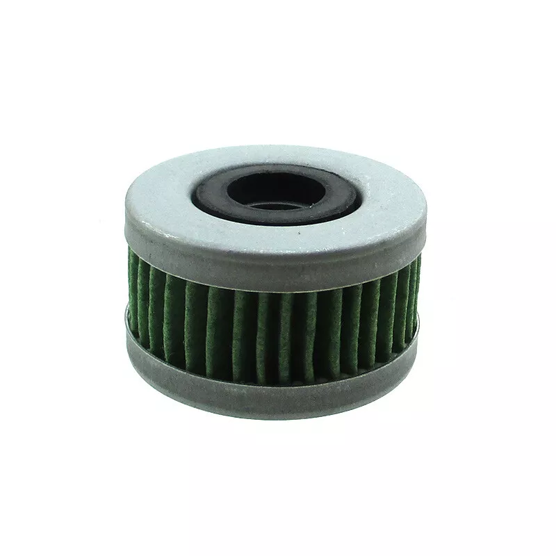 Filtre à essence pour BF40D - BF50D - BF60A