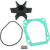 Kit de révision pour moteur Honda BF150A - PESCARO