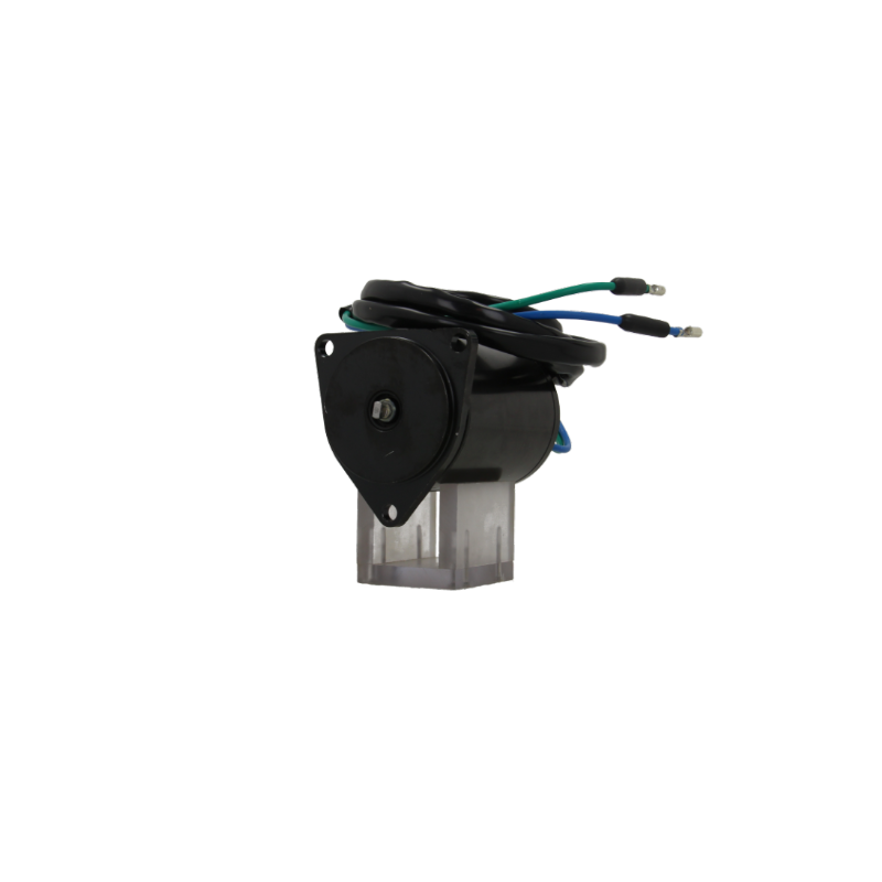 Moteur de trim Yamaha 40H - 50D - 60F - 70B  et...