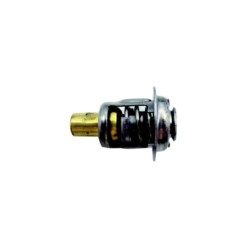 Thermostat Pour Mercury 6 à 125 CV 2 et 4 temps