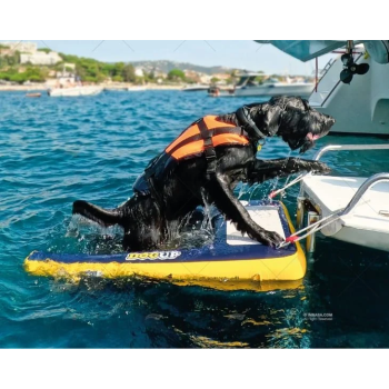 Echelle gonflable de remontée à bord pour chiens DOGUP 2