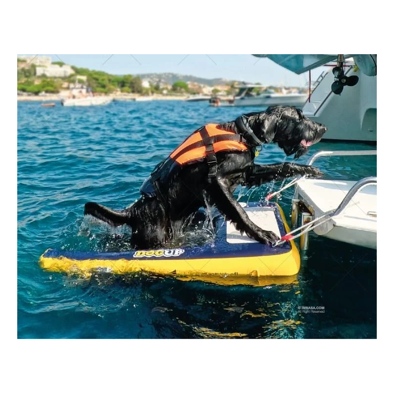 Echelle gonflable de remontée à bord pour chiens DOGUP