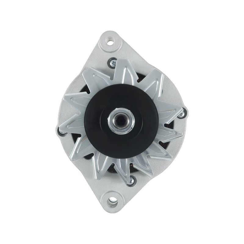 Alternateur 12V pour moteur in-bord Bukh RME 1.0 RME 1.5 - 50 A