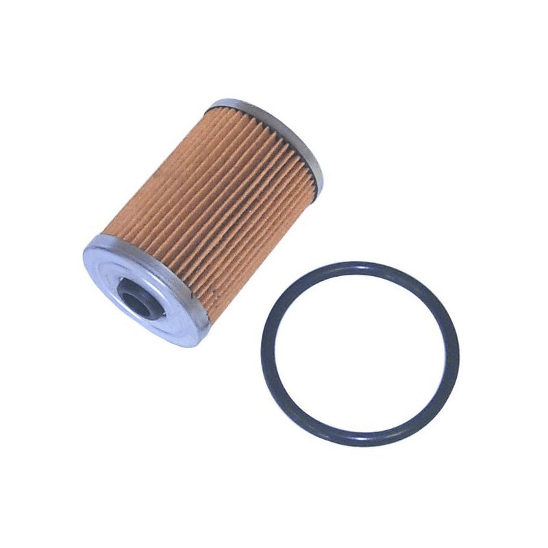 Filtre Essence MERCURY-MPI
