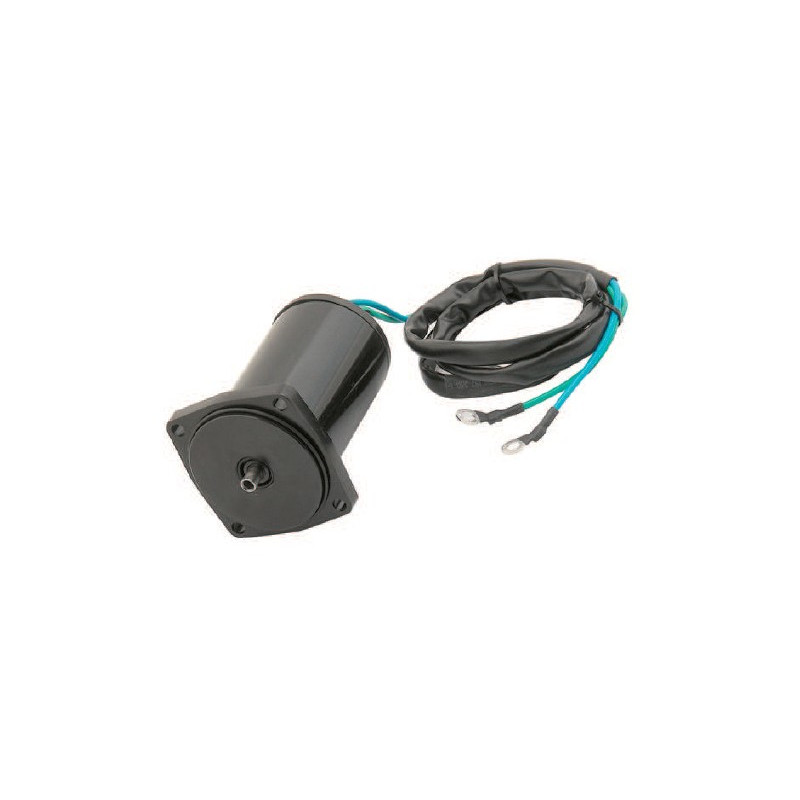 Moteur de Trim Suzuki DF40, DF50 (99-00)