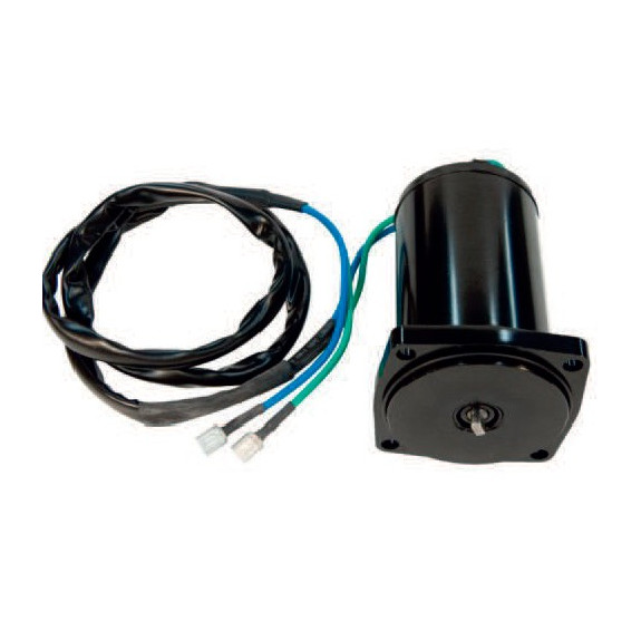 Moteur de Trim Suzuki DF40, DF50 (01-09)