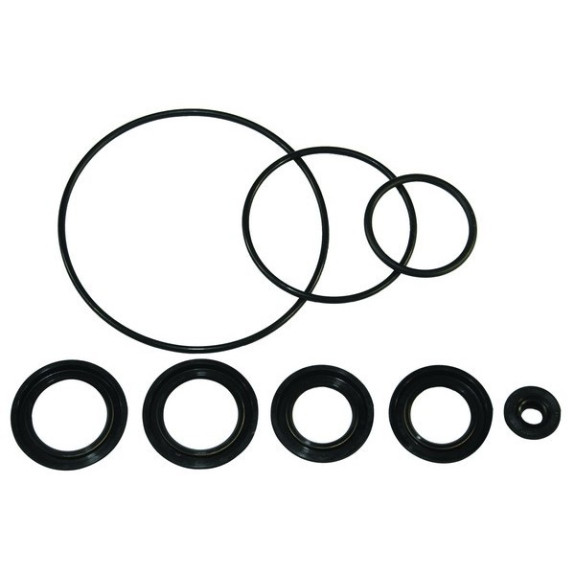 Pochette de Joints d'embase SUZUKI DF300