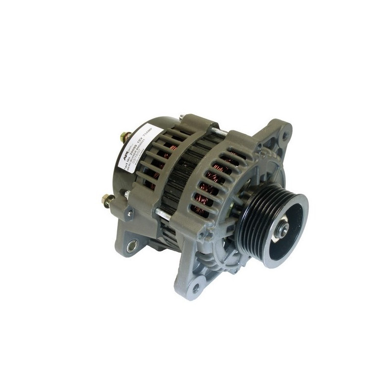 Alternateur GM - V6, V8 - Poulie 65mm