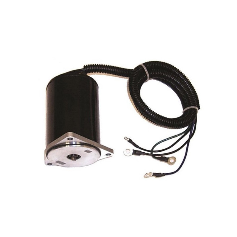 Moteur de Trim Yamaha 225, 250 Cv (90-03)