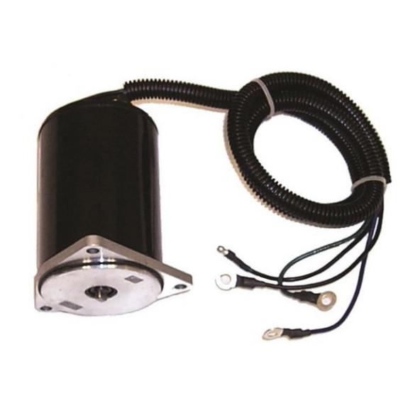 Moteur de Trim Yamaha 225, 250 Cv (90-03)