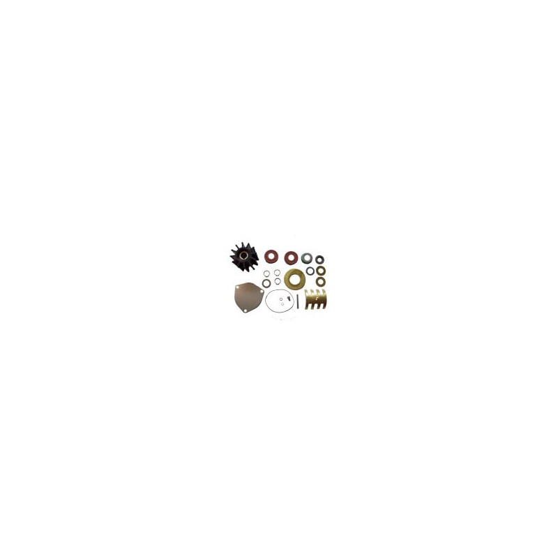 Kit majeur pour Pompe Sherwood type P176X