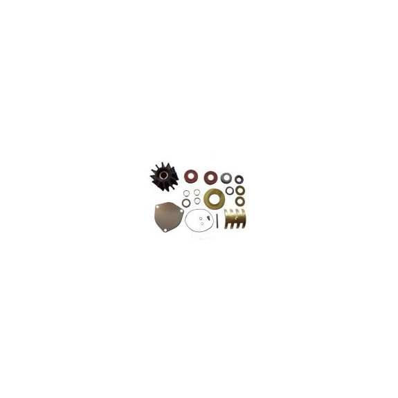 Kit majeur pour Pompe Sherwood type P176X