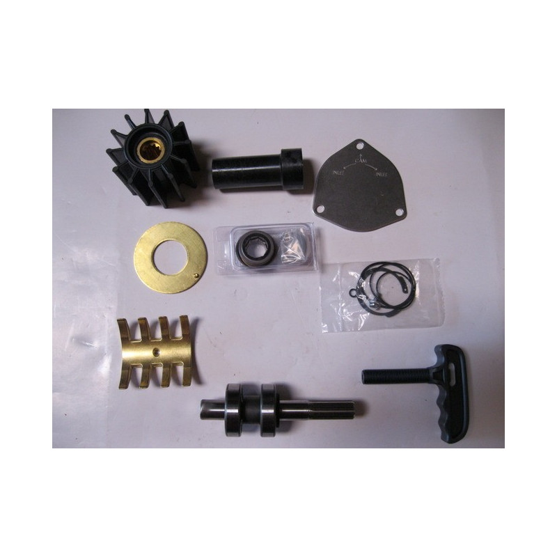 Kit majeur pour Pompe Sherwood type P270X