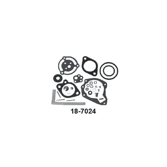 Kit Carburateur pour moteurs Johnson Evinrude  40cv - SIERRA