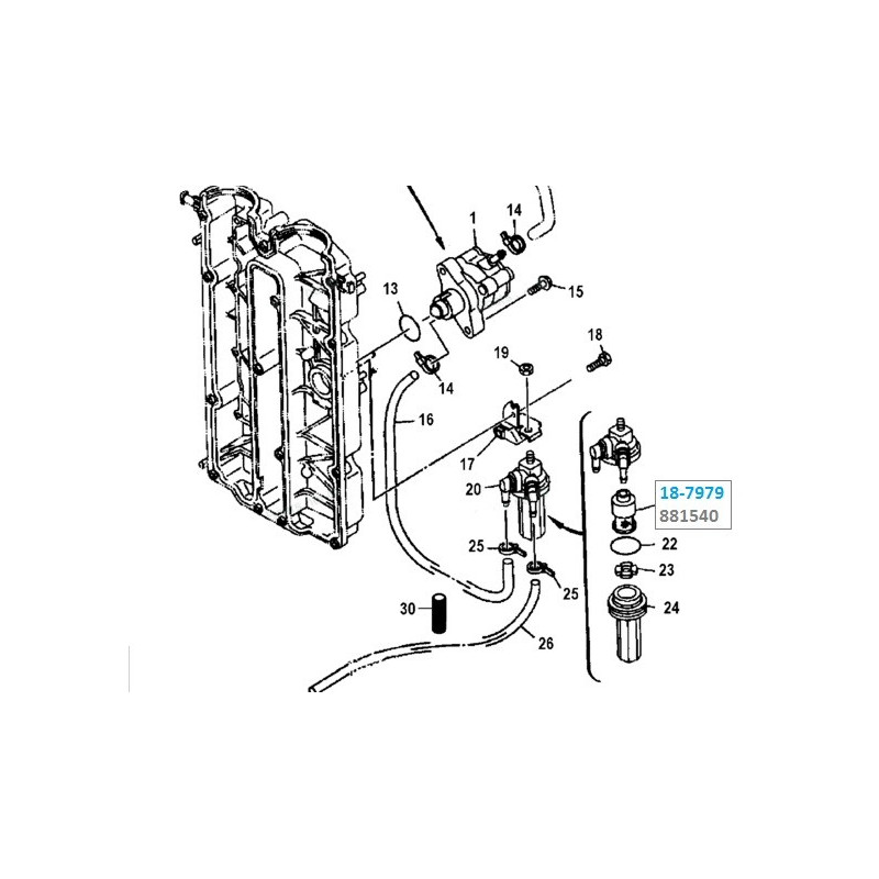 Filtre Essence Mercury 75, 90, 100 et 115 EFI -...