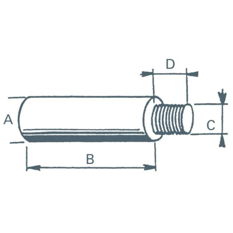 Anode Bougie Cumins