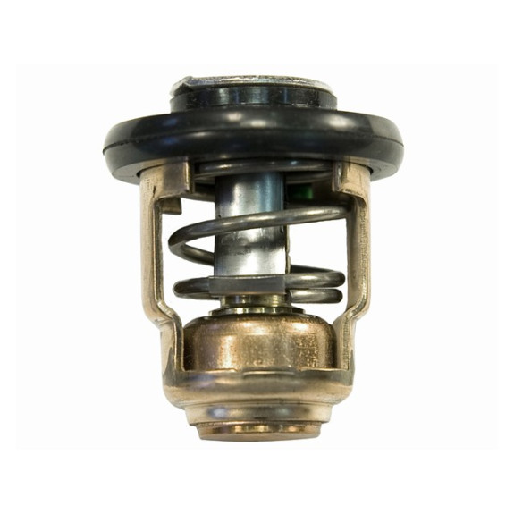 thermostat yamaha 2 temps 6E5-12411