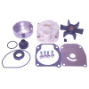 Kit de révision pour moteur Johnson/Evinrude E-TEC 40 à 65 CV (2006 - 2012) - PESCARO