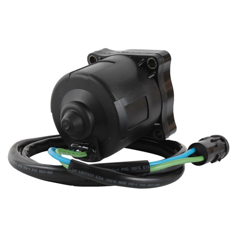Moteur de trim électrique Honda BF175 BF200 BF225