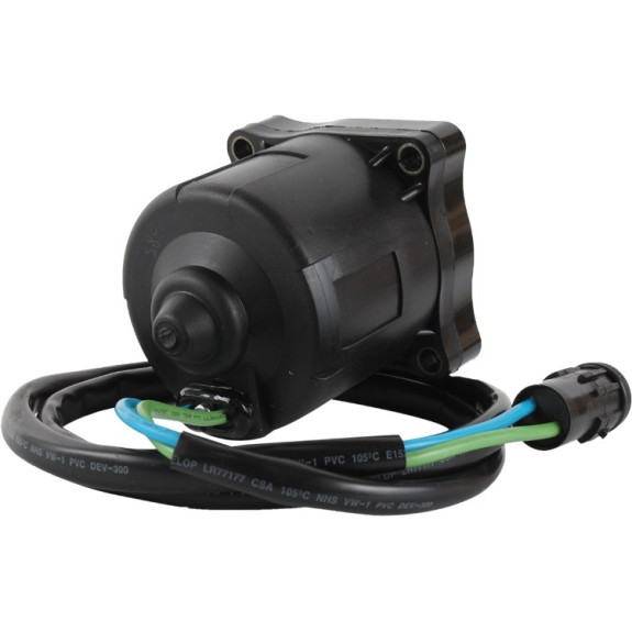 Moteur de trim électrique Honda BF175 BF200 BF225