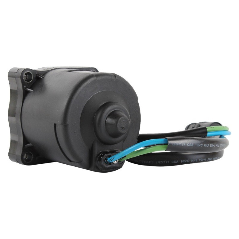 Moteur de Trim Honda BF115-BF135-BF150, Version Eco
