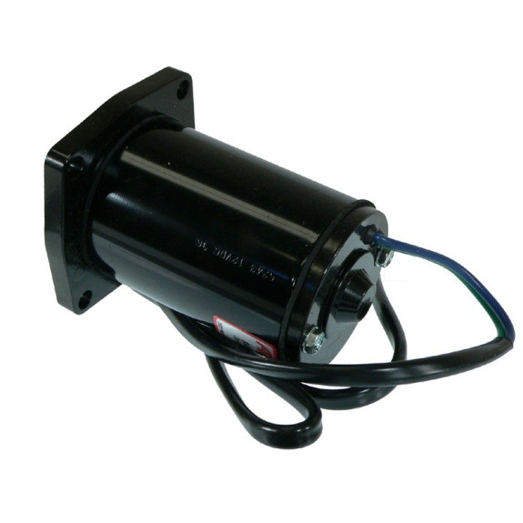 Moteur de Trim Johnson 40, 48, 50 - Année 1989 à 1992