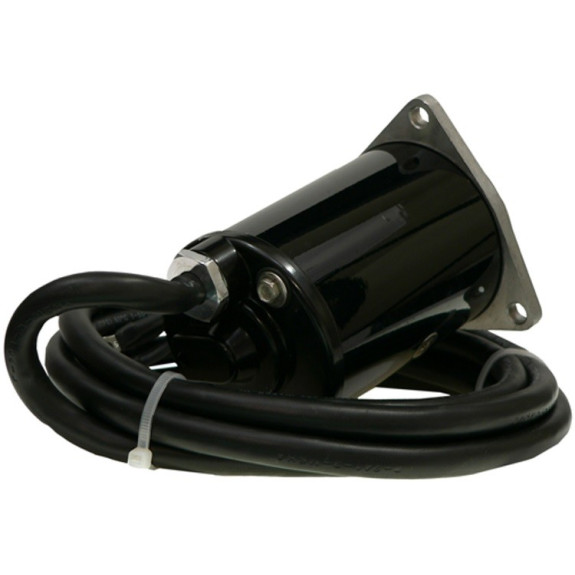 Moteur de trim Johnson V4, V6 - Année 1981 &+