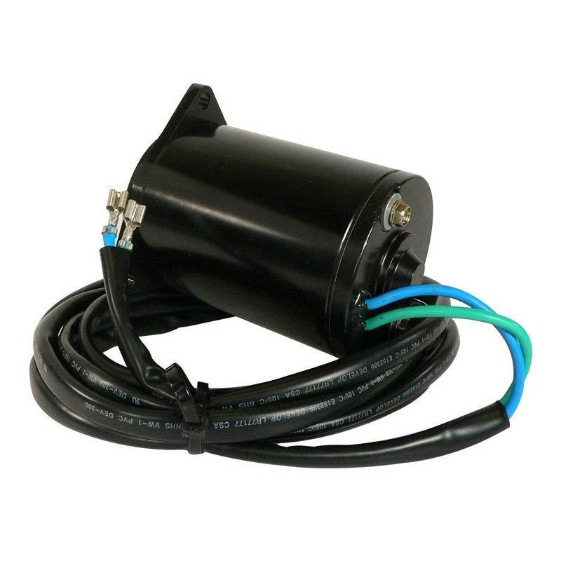Moteur de trim Johnson V6, V8 - Année 1993 &+