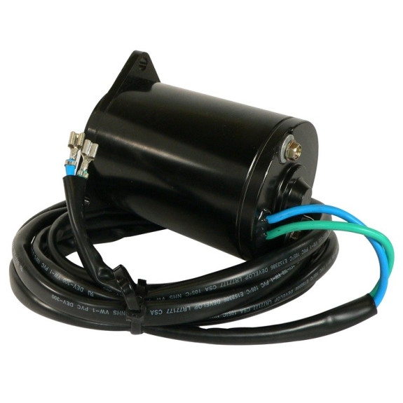 Moteur de trim Johnson V6, V8 - Année 1993 &+