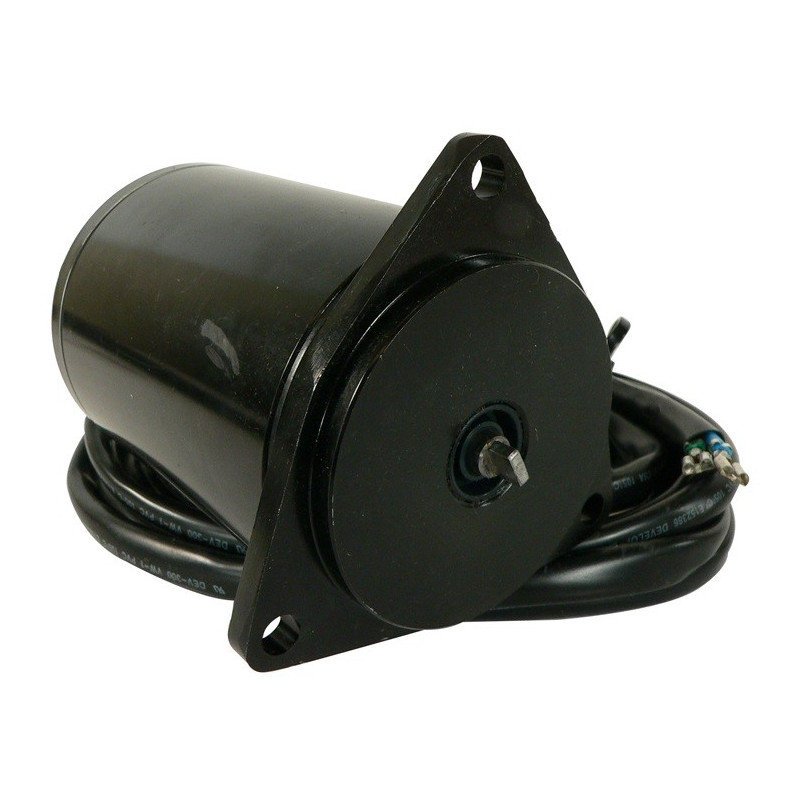 Moteur de trim Johnson V6, V8 - Année 1993 &+